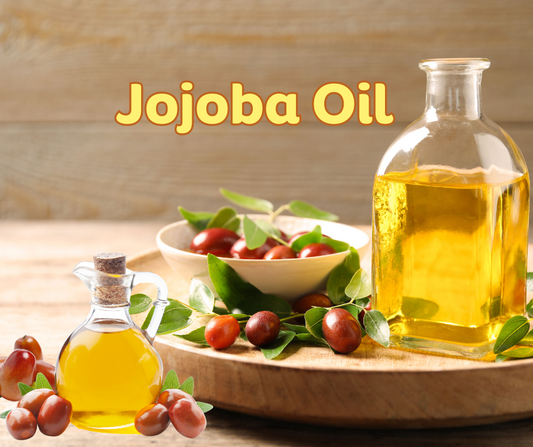 Discover the Power of Jojoba Oil